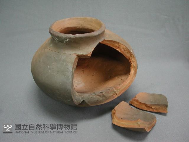 陶罐藏品圖，第3張