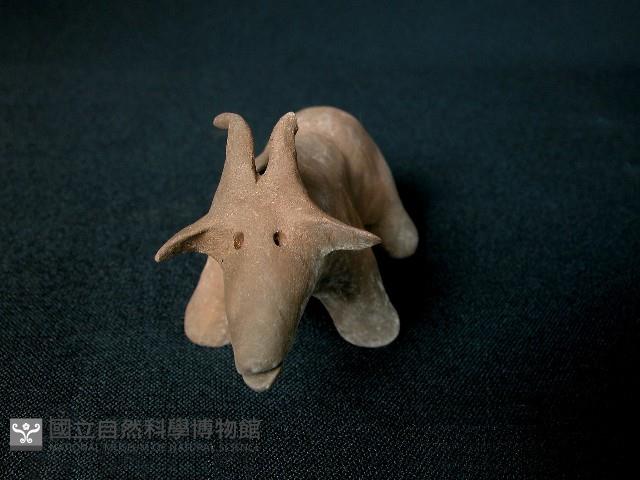 小羊藏品圖，第3張