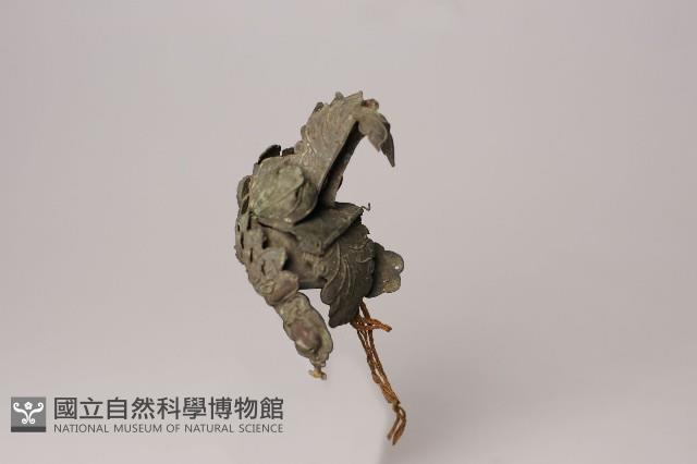 神帽藏品圖，第4張