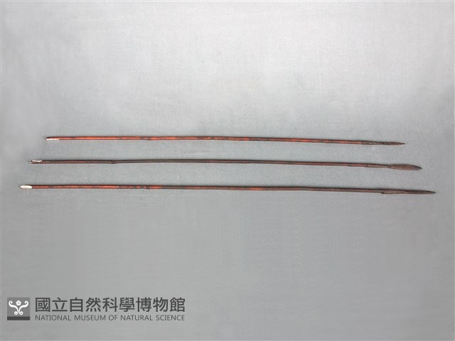 箭藏品圖，第1張