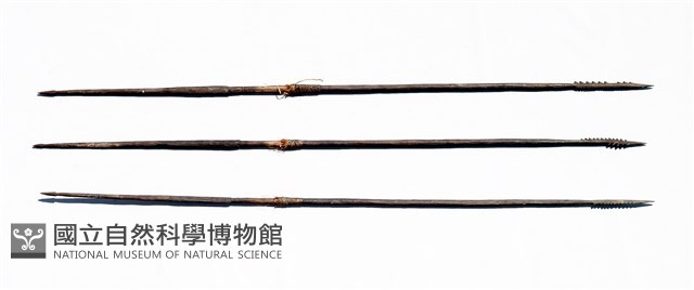 矛藏品圖，第1張