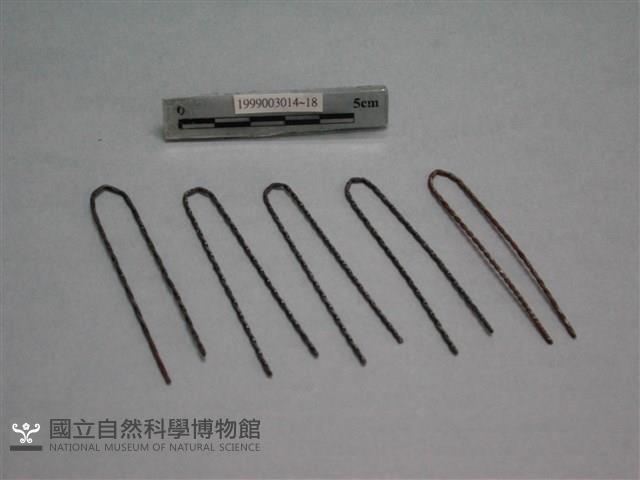 髮夾藏品圖，第1張