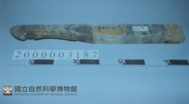 廟宇木構件藏品圖，第1張