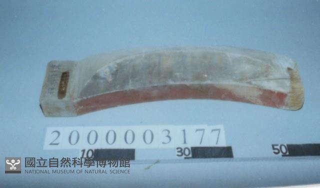 廟宇木構件藏品圖，第1張