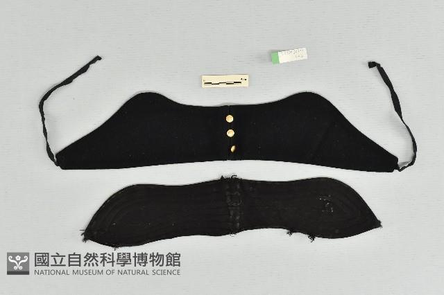 衣領藏品圖，第1張