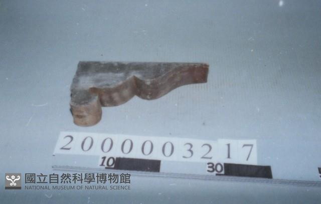 廟宇木構件藏品圖，第1張