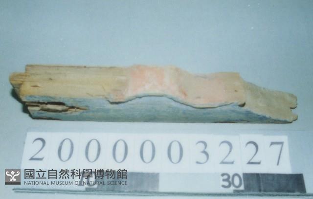 廟宇木構件藏品圖，第1張