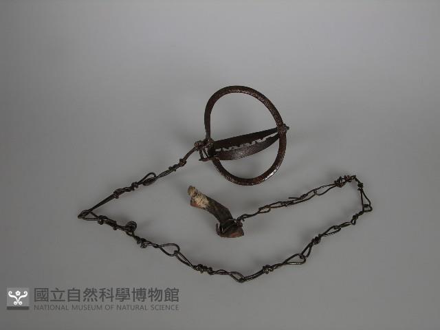 捕獸器藏品圖，第1張