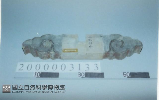 廟宇木構件藏品圖，第1張