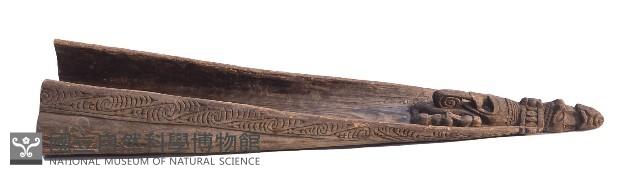 Accession Number:1993008183 Collection Image, Figure 1, Total 2 Figures