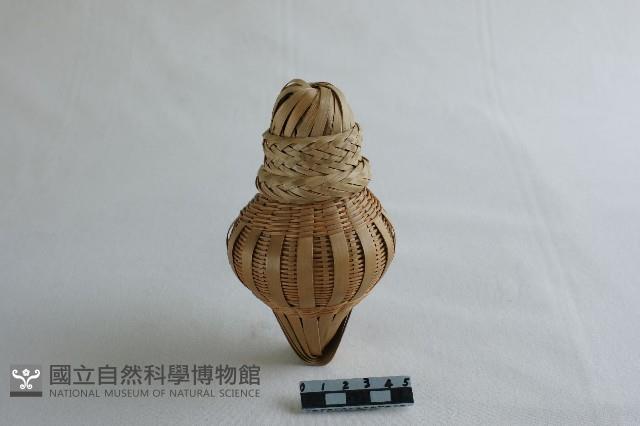 蟲簍藏品圖，第1張