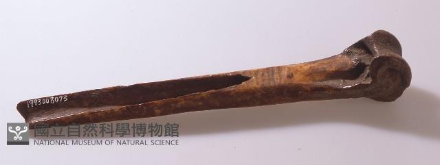 骨刀藏品圖，第1張