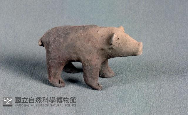 豬偶藏品圖，第1張