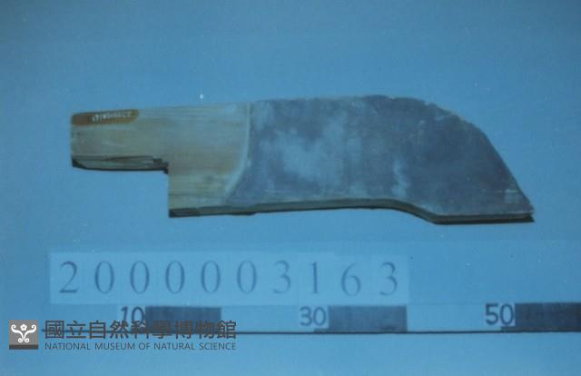 廟宇木構件藏品圖，第1張