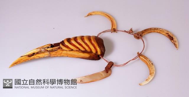 Accession Number:1993008163 Collection Image