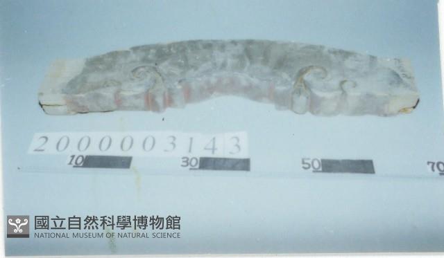 廟宇木構件藏品圖，第1張