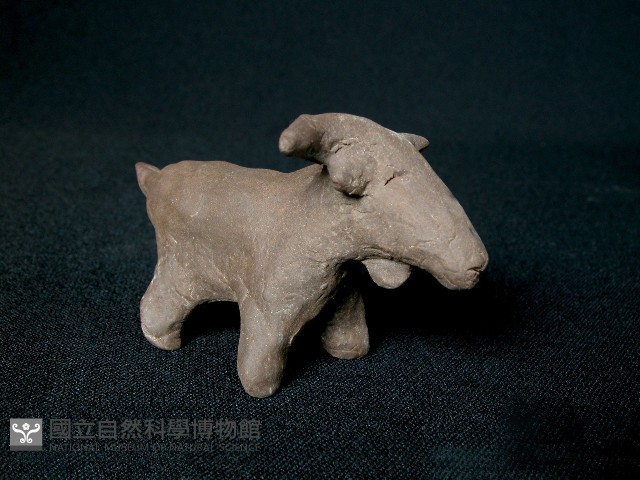 小羊藏品圖，第1張