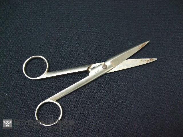 線剪藏品圖，第1張