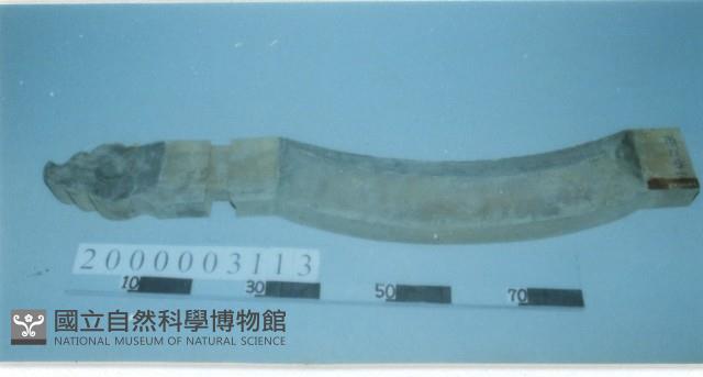 廟宇木構件藏品圖，第1張