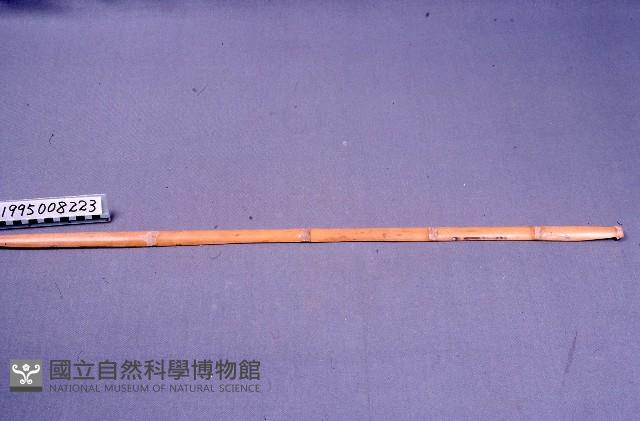 棒藏品圖，第1張