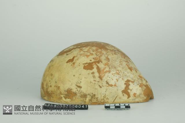 瓜瓢藏品圖，第1張