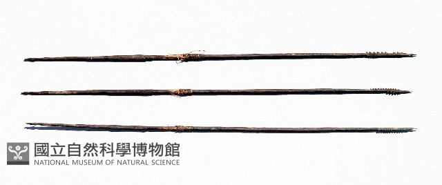 矛藏品圖，第1張