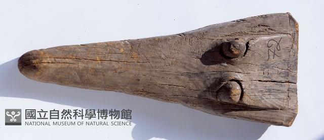 獨木舟船首藏品圖，第1張