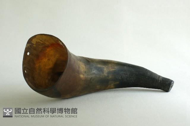 號角藏品圖，第1張