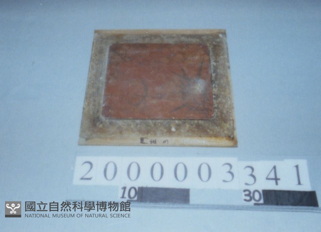 廟宇木構件藏品圖，第1張