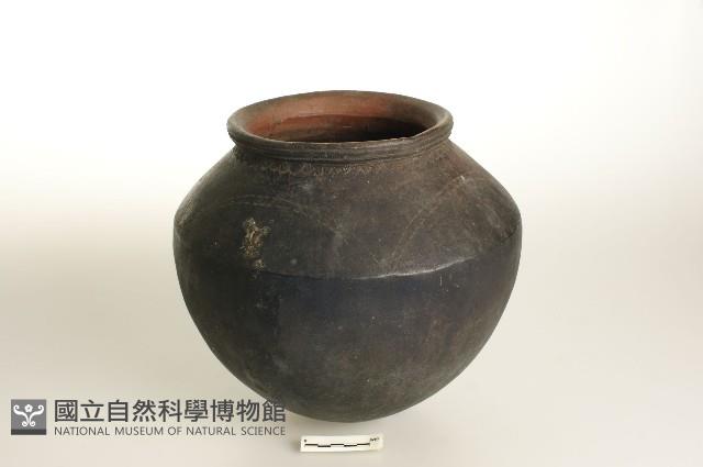 Accession Number:2014001001 Collection Image, Figure 1, Total 2 Figures