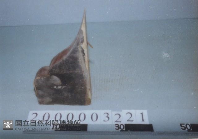 廟宇木構件藏品圖，第1張