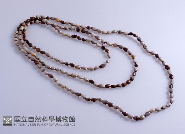 頸飾藏品圖，第1張