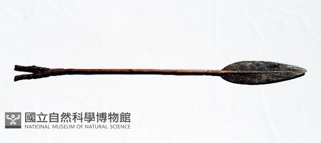 槳藏品圖，第1張