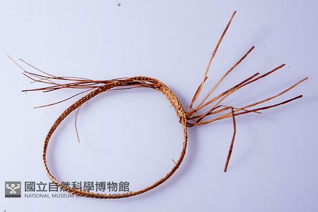 臂環藏品圖，第1張