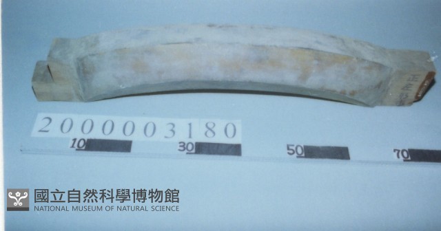 廟宇木構件藏品圖，第1張