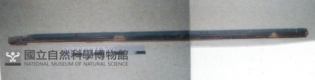 廟宇木構件藏品圖，第1張