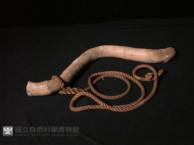牛軛藏品圖，第1張