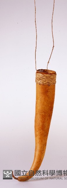 陽物套藏品圖，第1張