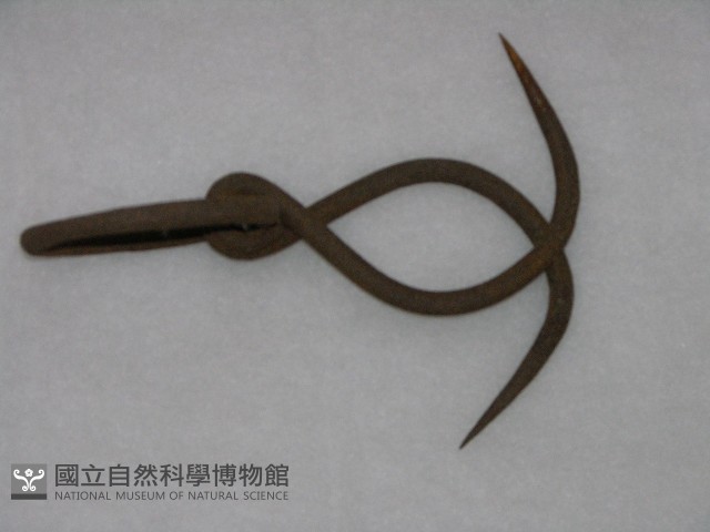 豬肉鉤藏品圖，第1張
