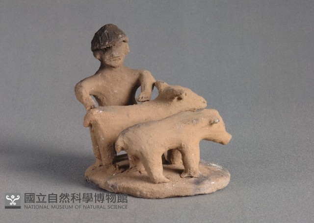 動物組合藏品圖，第1張
