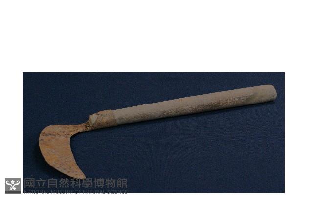 鐮刀藏品圖，第1張