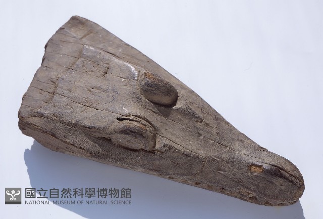 獨木舟船首藏品圖，第1張