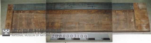 廟宇木構件藏品圖，第1張