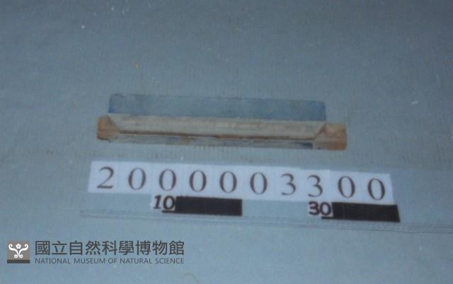 廟宇木構件藏品圖，第1張