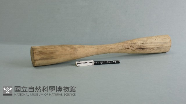 杵藏品圖，第1張