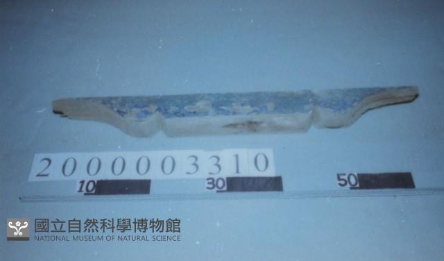 廟宇木構件藏品圖，第1張