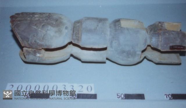 廟宇木構件藏品圖，第1張