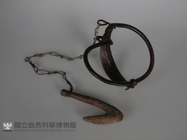 捕獸器藏品圖，第1張