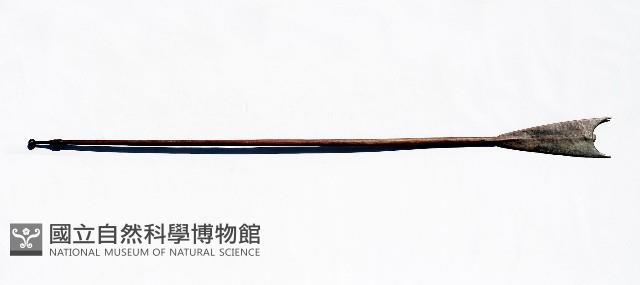 槳藏品圖，第1張