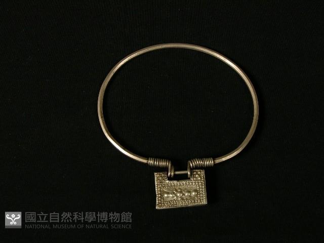 Accession Number:2004005234 Collection Image